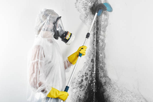 Best Emergency Mold Remediation  in Sumter, SC